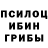 Галлюциногенные грибы прущие грибы D0MIN0,HOTOWA