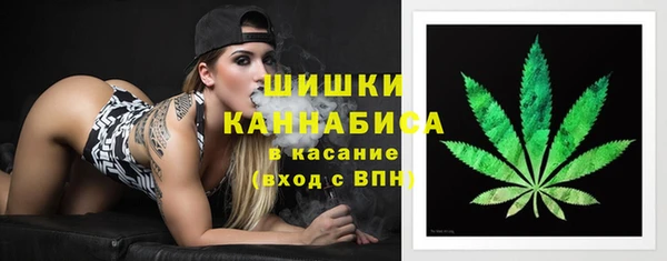 apvp Белокуриха