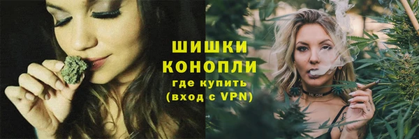 apvp Белокуриха