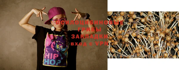 кокс Баксан